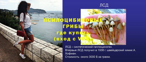 apvp Армянск